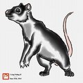 The Year of the Rat