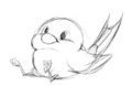 Birb