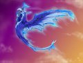 *C*_Phoenix