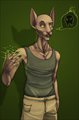 The Necromancer's Son
