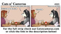 Cats n Cameras - Strip #223 Cat got your tongue?