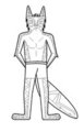 wolfie nude underwear sketch