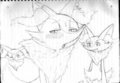 Braixen sketches