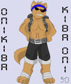 Kiba Adult badge