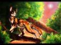 [REDRAW] Spottedleaf of ThunderClan +Video by GraffitiMutt