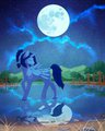 Midnight Magic