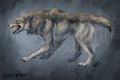 Canis Dirus