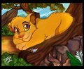 Hakuna Matata by Unibat