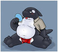 Chubby Orca