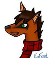 Carter Headshot by FunFerret