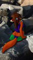 On the Rocks
