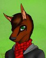 Funferret deviant ID
