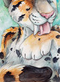 Grooming