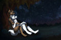 Under the Starlight by anhapouna