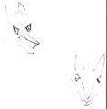 Sergal Head - Rough Sketch