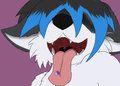 :P