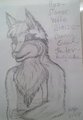 fursona sketch by jman1717