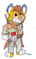 NCR Ranger husky