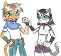 Adventure Pal forever
