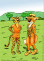 Leopard Spots