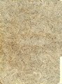 Folder Swirly - Original
