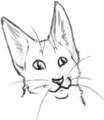 Kittehface by Larthan