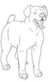 Rottweiler by Larthan