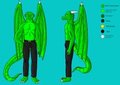 Mat Dragon Character Sheet 2007