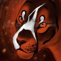 Embers by LostWolfSpirit