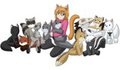Plushies