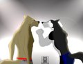 Staredown