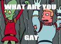 What Are You Gay