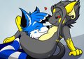 Belly Nuzzles
