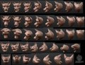 Canine head reference- happy