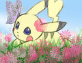 Flower Fiel