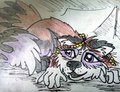 Gypsy Raccoon - feral version (colored sketch) by Mojave