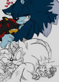 Shadow X Werehog 