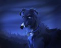 Stormy Night by LostWolfSpirit