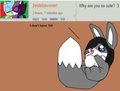 Question 2 by lunathewolf321