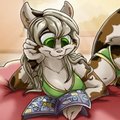 *C*_Comictime!