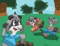 The Raccoons - Request