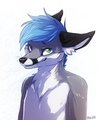 Mischievous Fox