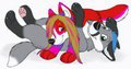 Playful Foxes