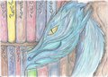 The Dragon's Library by RippytheNekomatta