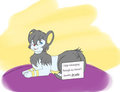 My Pokemon Shaming