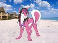 Wet Dog