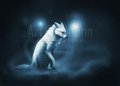 Ghosts