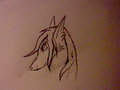 Sylvia Headshot by RedWolf96