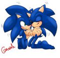Cuddling Double Sonic