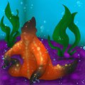 Happy Little Starfish...
